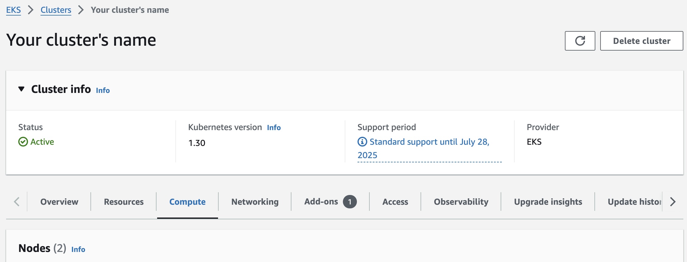 EKS Cluster Page