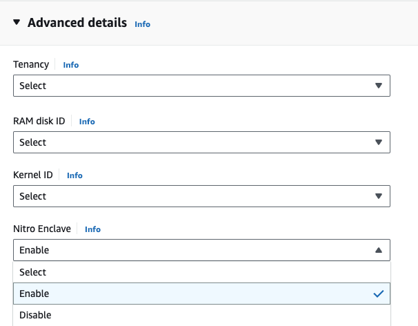 Create an AWS Nitro-based instance :: Getting Started