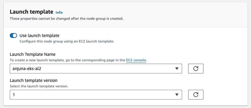 Launch Template Panel